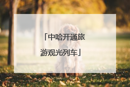 中哈开通旅游观光列车