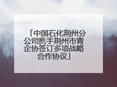 中国石化荆州分公司携手荆州市青企协签订多项战略合作协议