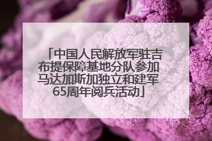 中国人民解放军驻吉布提保障基地分队参加马达加斯加独立和建军65周年阅兵活动