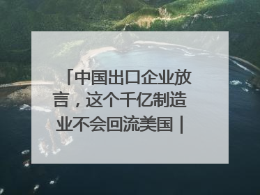 中国出口企业放言，这个千亿制造业不会回流美国｜海斌访谈