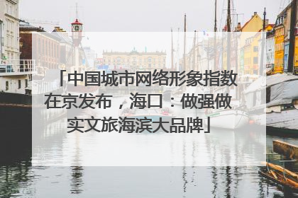 中国城市网络形象指数在京发布，海口：做强做实文旅海滨大品牌