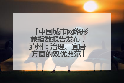 中国城市网络形象指数报告发布，泸州：治理、宜居方面的双优典范