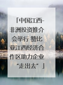 中国江西-非洲投资推介会举行 赞比亚江西经济合作区助力企业“走出去”