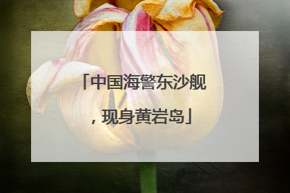 中国海警东沙舰，现身黄岩岛