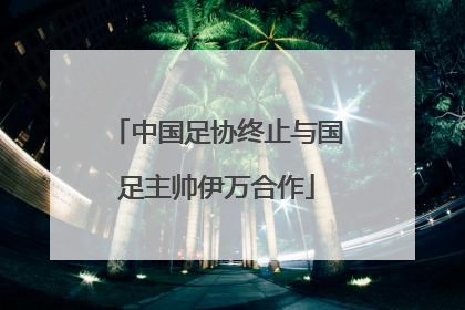 中国足协终止与国足主帅伊万合作