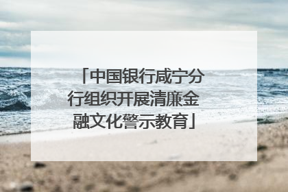 中国银行咸宁分行组织开展清廉金融文化警示教育