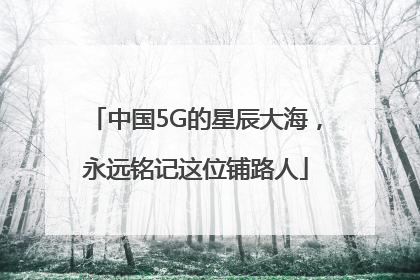 中国5G的星辰大海，永远铭记这位铺路人