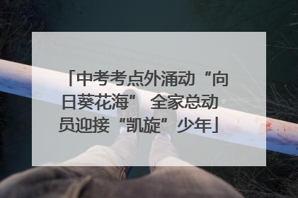 中考考点外涌动“向日葵花海” 全家总动员迎接“凯旋”少年