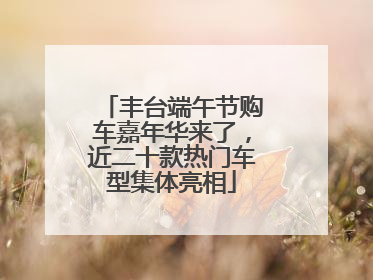 丰台端午节购车嘉年华来了，近二十款热门车型集体亮相