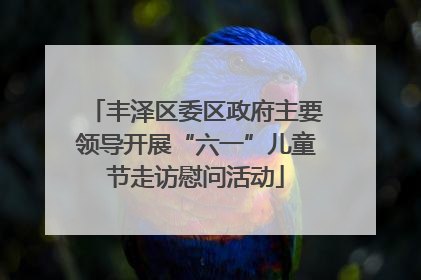 丰泽区委区政府主要领导开展“六一”儿童节走访慰问活动