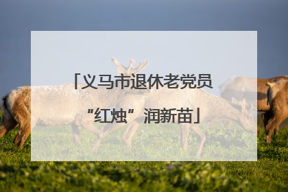 义马市退休老党员“红烛”润新苗