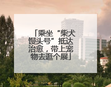 乘坐“柴犬馒头号”抵达治愈，带上宠物去逛个展