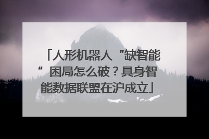 人形机器人“缺智能”困局怎么破？具身智能数据联盟在沪成立