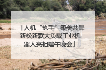 人机“执手”柔美共舞 新松新款大负载工业机器人亮相端午晚会