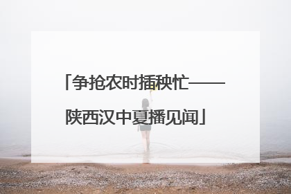 争抢农时插秧忙——陕西汉中夏播见闻