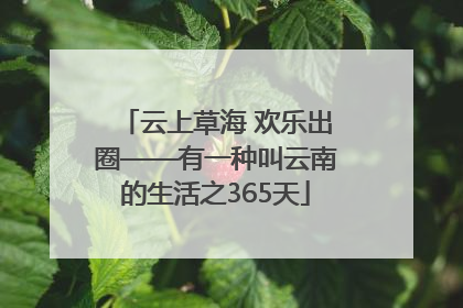 云上草海 欢乐出圈——有一种叫云南的生活之365天