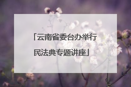 云南省委台办举行民法典专题讲座