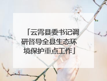 云霄县委书记调研督导全县生态环境保护重点工作