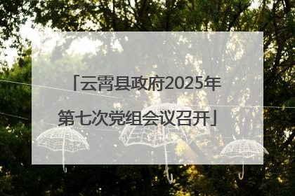 云霄县政府2025年第七次党组会议召开