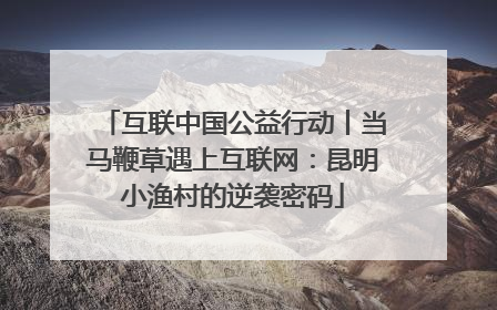 互联中国公益行动丨当马鞭草遇上互联网：昆明小渔村的逆袭密码