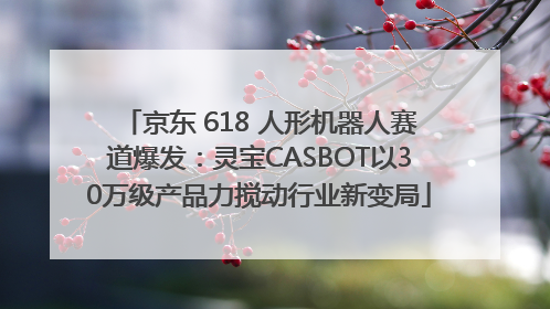 京东 618 人形机器人赛道爆发：灵宝CASBOT以30万级产品力搅动行业新变局