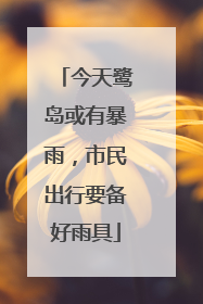 今天鹭岛或有暴雨，市民出行要备好雨具