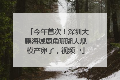 今年首次！深圳大鹏海域鹿角珊瑚大规模产卵了，视频→