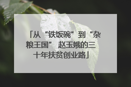 从“铁饭碗”到“杂粮王国” 赵玉娥的三十年扶贫创业路