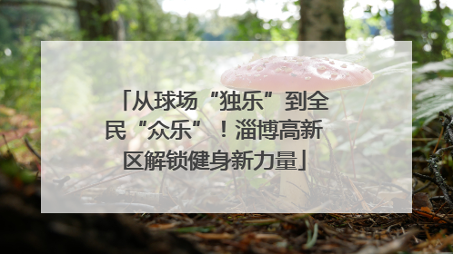 从球场“独乐”到全民“众乐”！淄博高新区解锁健身新力量