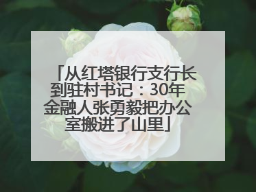 从红塔银行支行长到驻村书记：30年金融人张勇毅把办公室搬进了山里