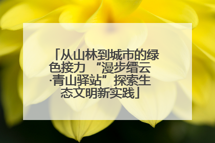从山林到城市的绿色接力 “漫步缙云·青山驿站”探索生态文明新实践