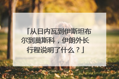 从日内瓦到伊斯坦布尔到莫斯科，伊朗外长行程说明了什么？
