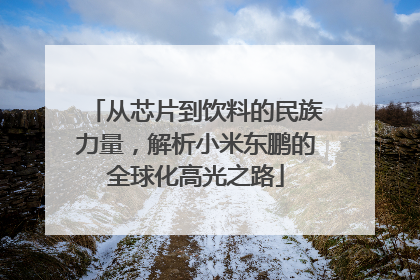 从芯片到饮料的民族力量，解析小米东鹏的全球化高光之路