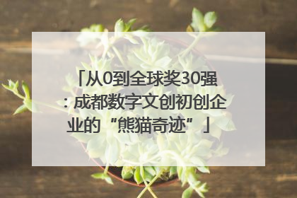 从0到全球奖30强：成都数字文创初创企业的“熊猫奇迹”
