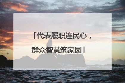 代表履职连民心，群众智慧筑家园