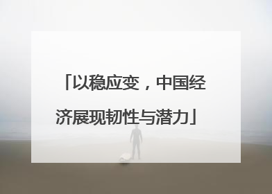 以稳应变，中国经济展现韧性与潜力