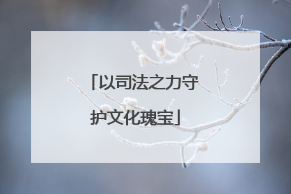 以司法之力守护文化瑰宝