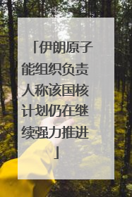 伊朗原子能组织负责人称该国核计划仍在继续强力推进