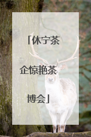 休宁茶企惊艳茶博会