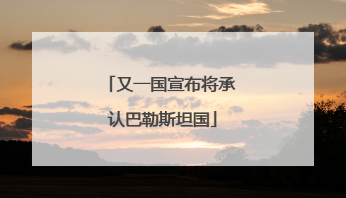 又一国宣布将承认巴勒斯坦国