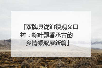 双牌县泷泊镇观文口村：粽叶飘香承古韵 乡情凝聚展新篇