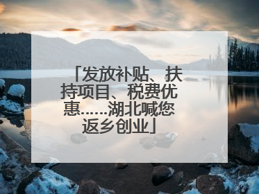 发放补贴、扶持项目、税费优惠……湖北喊您返乡创业
