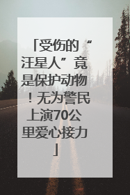 受伤的“汪星人”竟是保护动物！无为警民上演70公里爱心接力