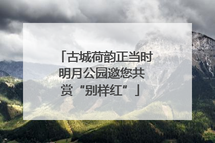 古城荷韵正当时 明月公园邀您共赏“别样红”