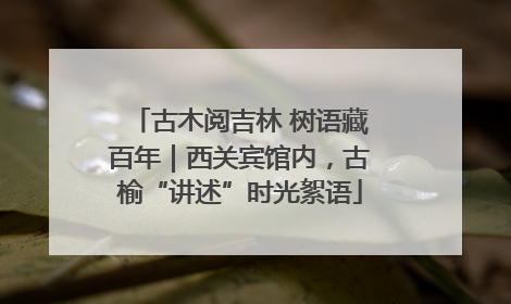 古木阅吉林 树语藏百年｜西关宾馆内，古榆“讲述”时光絮语