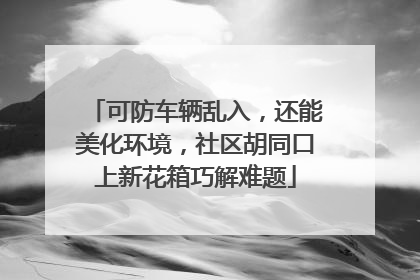 可防车辆乱入，还能美化环境，社区胡同口上新花箱巧解难题
