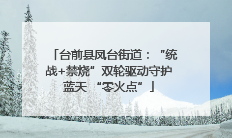 台前县凤台街道：“统战+禁烧”双轮驱动守护蓝天 “零火点”