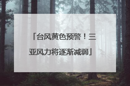台风黄色预警！三亚风力将逐渐减弱