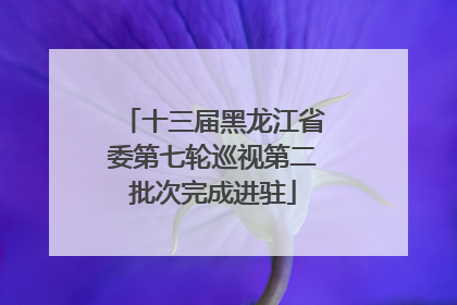 十三届黑龙江省委第七轮巡视第二批次完成进驻