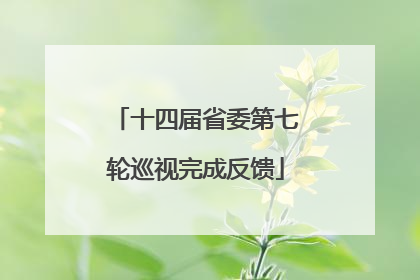 十四届省委第七轮巡视完成反馈